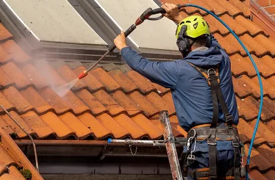Démoussage et hydrofuge de toiture à Landécourt
